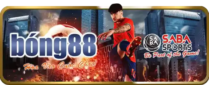 Các kênh liên hệ hỗ trợ 22vip