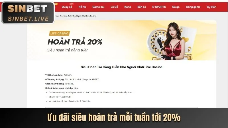 Hoàn trả tiền cược hàng tuần cho người chơi thể thao
